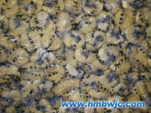 �����ޚ�